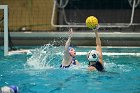 WWPolo vs CC  Wheaton College Women’s Water Polo compete in their sports inaugural match vs Connecticut College. - Photo By: KEITH NORDSTROM : Wheaton, water polo, inaugural